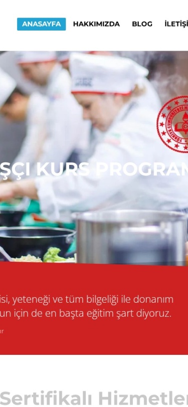 Hsonmezakademi Web Tasarım Mobil