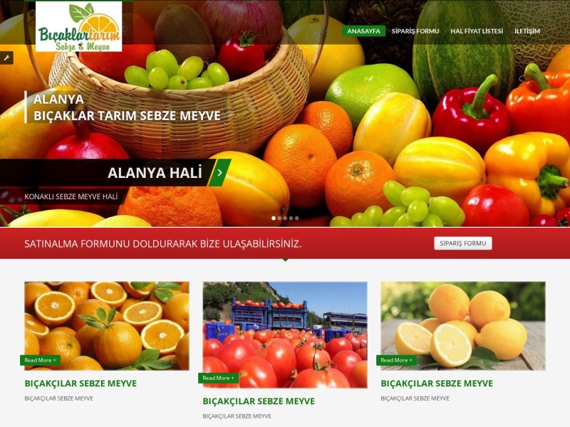 Sebzemeyveburada Web Tasarım Masaüstü