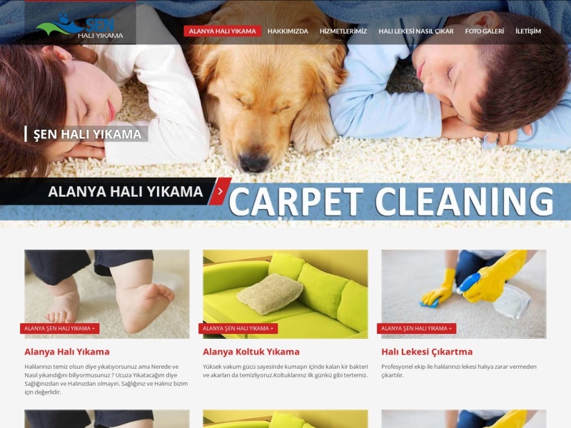 Senhalitemizleme Web Tasarım Masaüstü